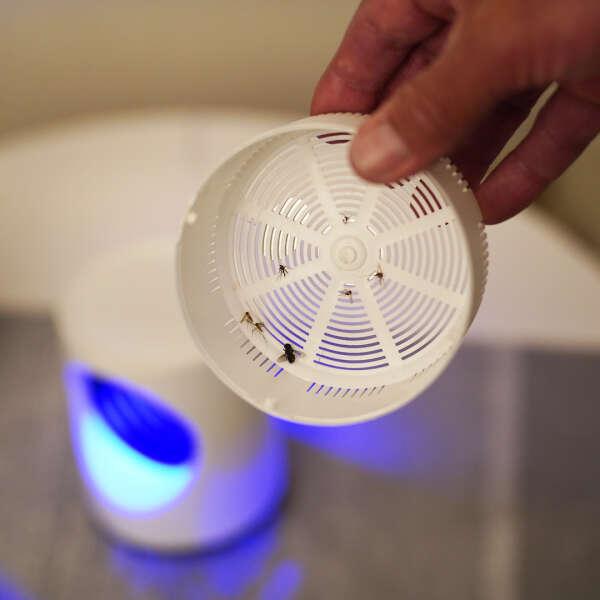 Repelux - Mosquito lamp