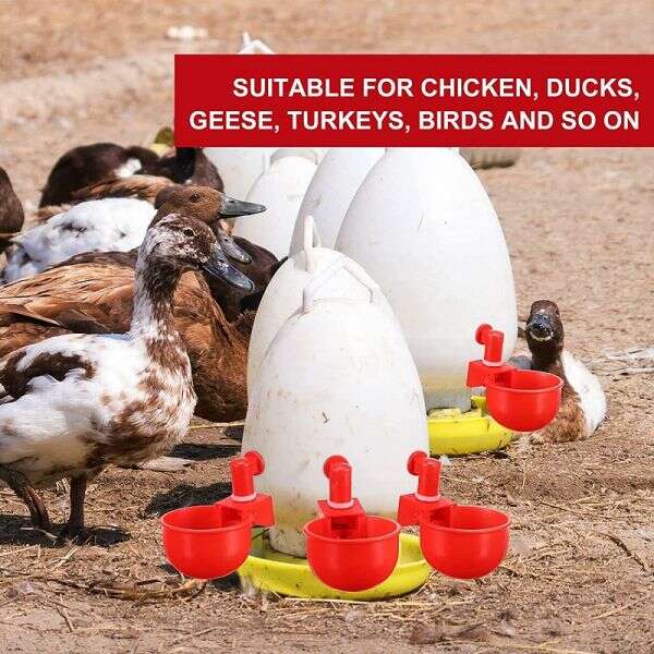 PoulCups - Set for automatic water provision for poultry