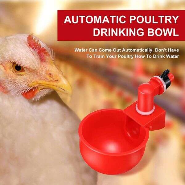 PoulCups - Set for automatic water provision for poultry