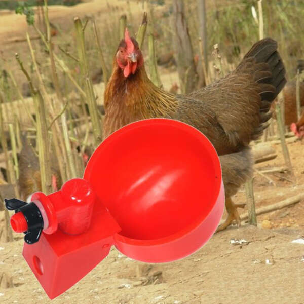 PoulCups - Set for automatic water provision for poultry