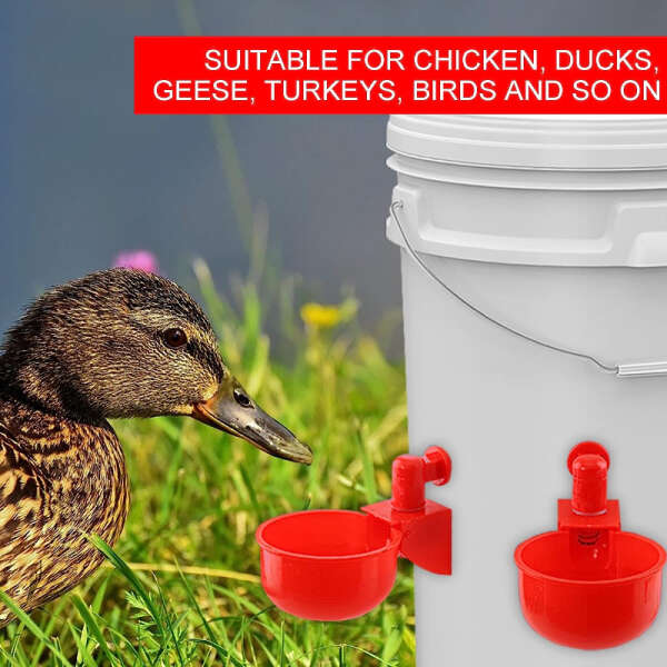 PoulCups - Set for automatic water provision for poultry