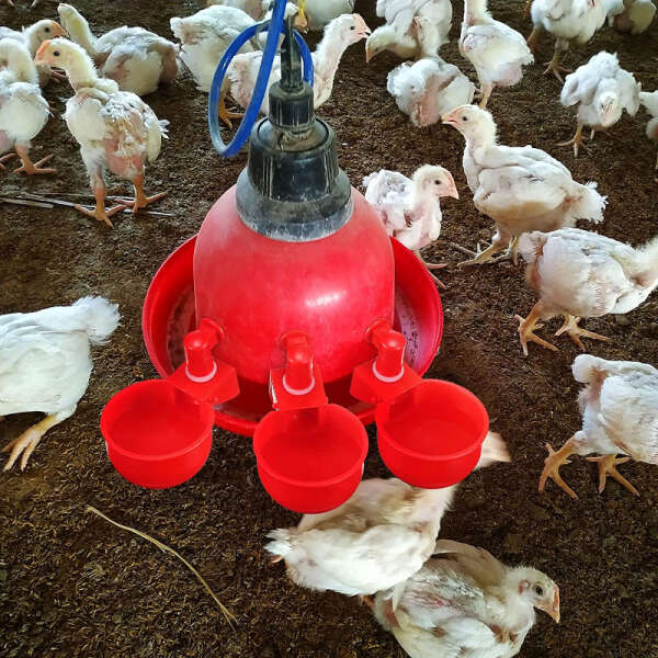 PoulCups - Set for automatic water provision for poultry