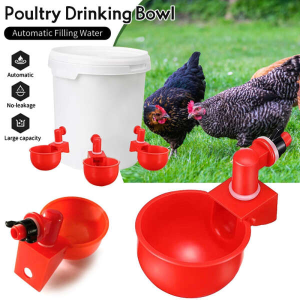 PoulCups - Set for automatic water provision for poultry