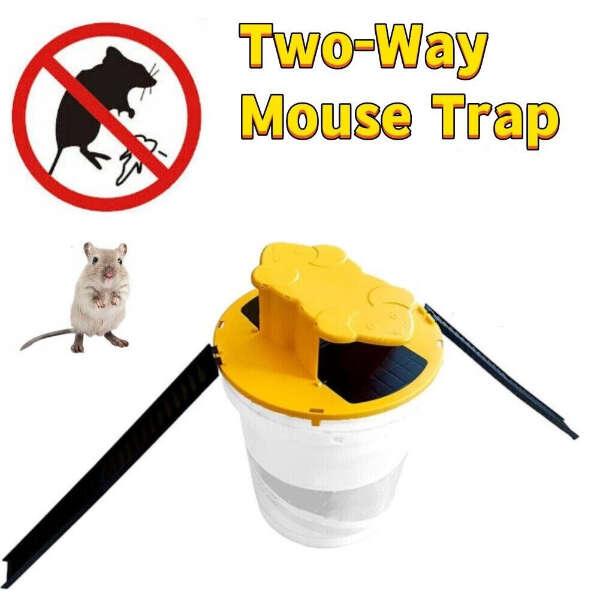 Trapero - Mouse trap